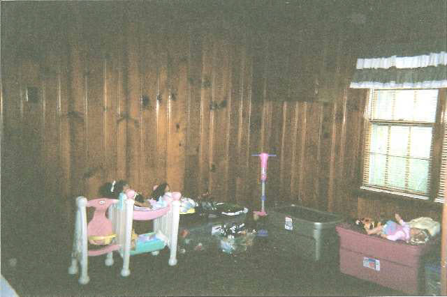 5799 North Bicknell Road Bicknell, IN 47512 - Photo 5 of 6