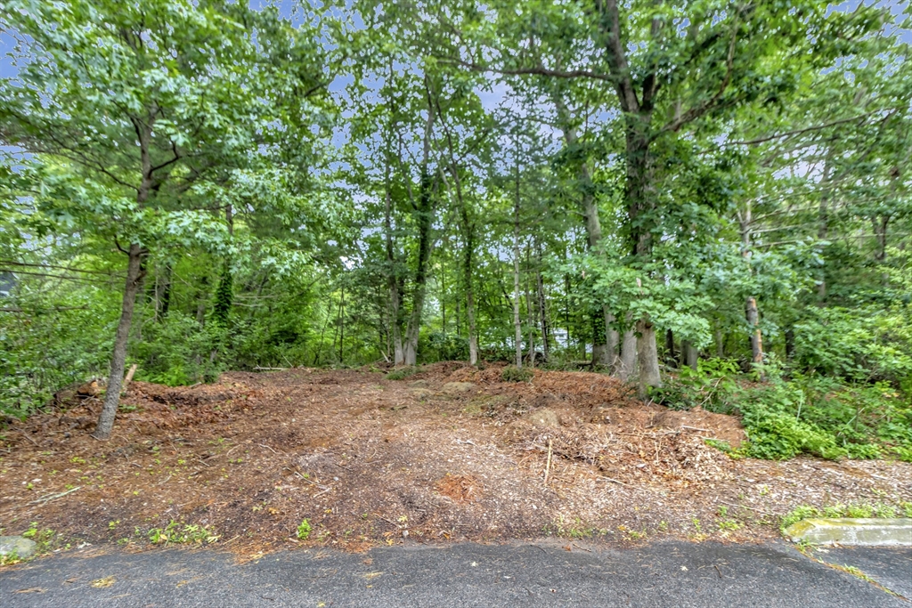 15 Randall Farm Drive Easton, MA 02356 - Photo 11 of 13 a view of a dirt road with trees in the background