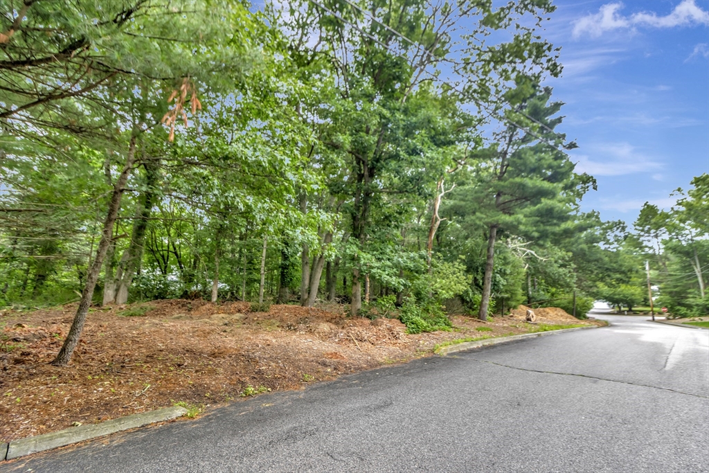 15 Randall Farm Drive Easton, MA 02356 - Photo 12 of 13 a view of road with large trees