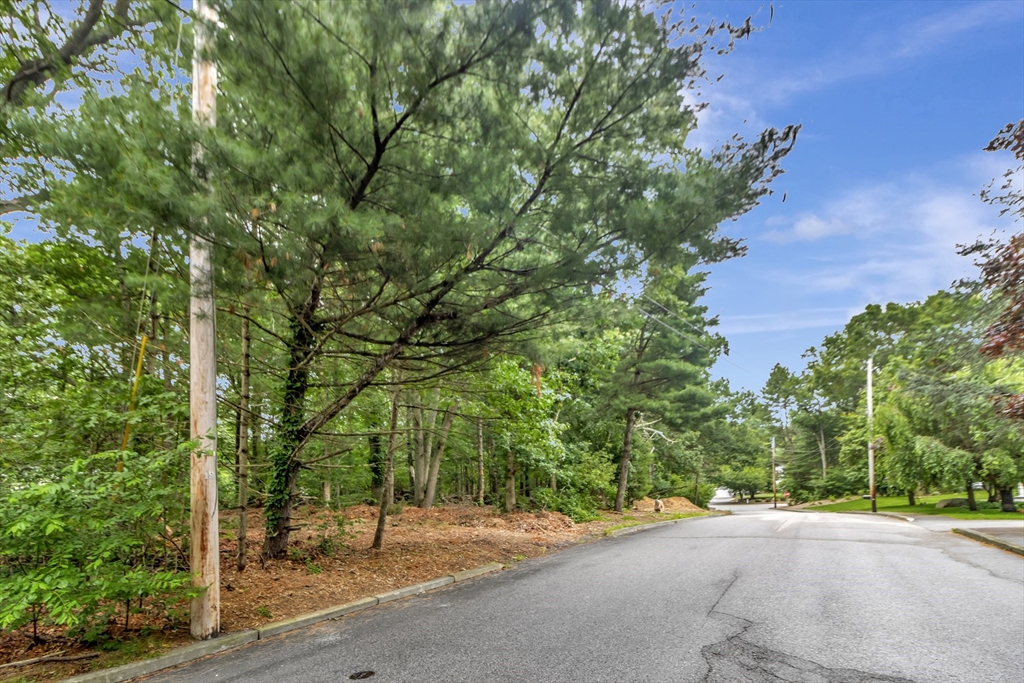 15 Randall Farm Drive Easton, MA 02356 - Photo 13 of 13 a view of a yard with plants and large trees