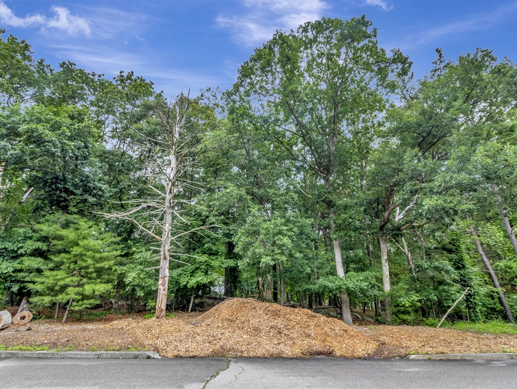 15 Randall Farm Drive Easton, MA 02356 - Photo 2 of 13 a view of a yard
