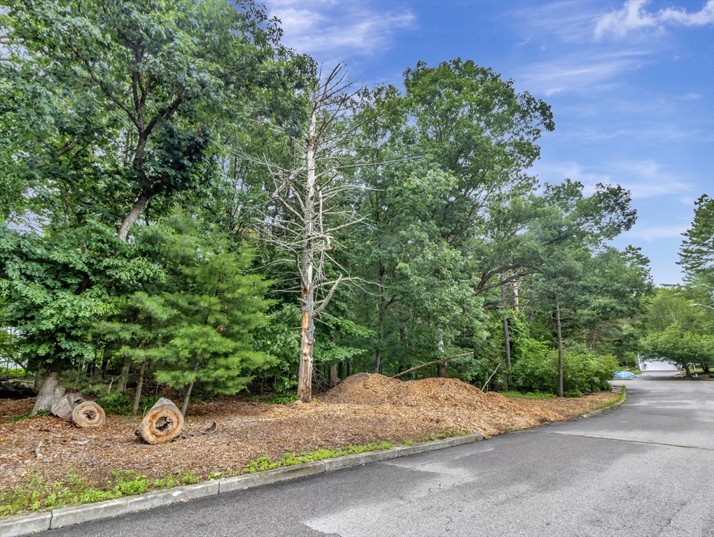 15 Randall Farm Drive Easton, MA 02356 - Photo 3 of 13