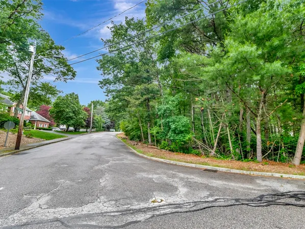 a view of a yard with potted plants