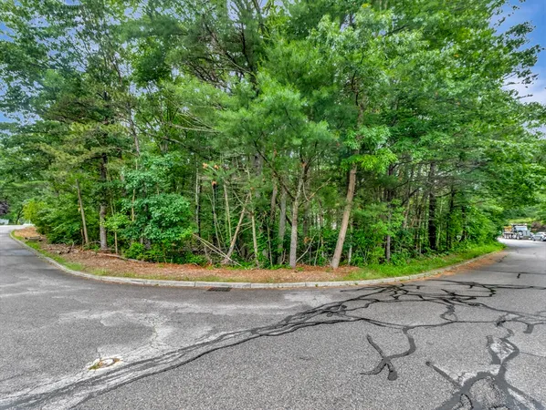 a view of a yard with potted plants