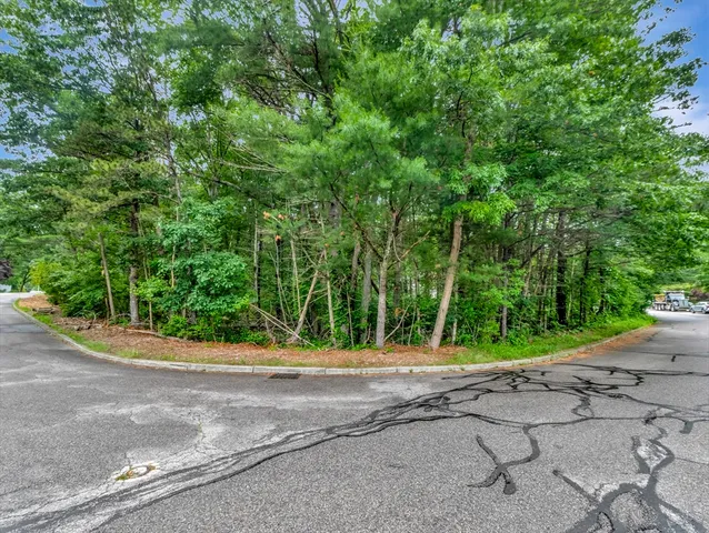a view of a yard with potted plants