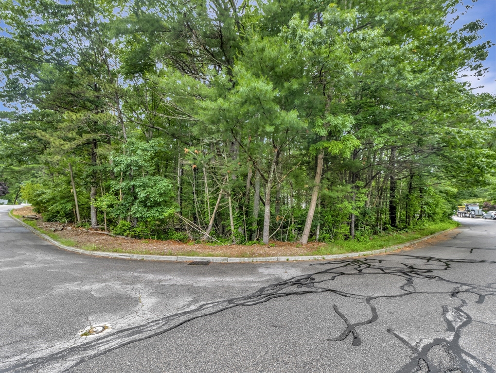 15 Randall Farm Drive Easton, MA 02356 - Photo 5 of 13 a view of a yard with potted plants
