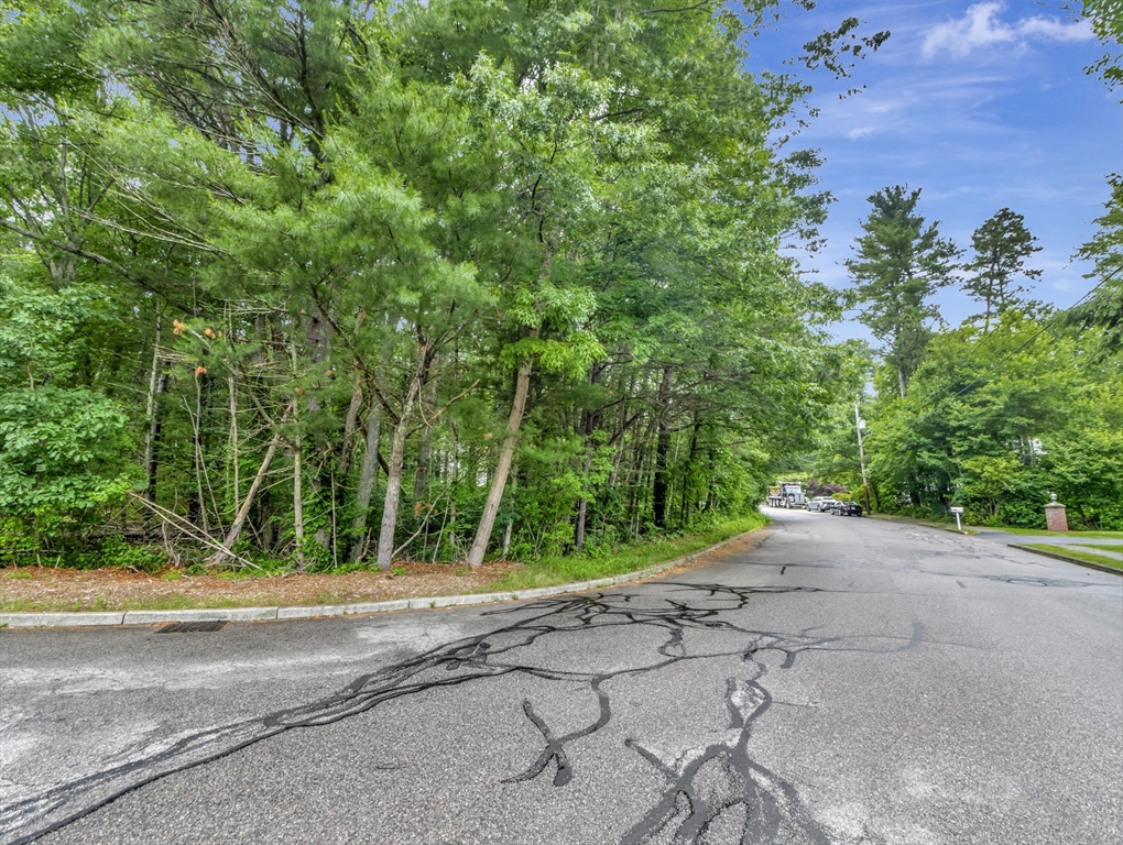 15 Randall Farm Drive Easton, MA 02356 - Photo 6 of 13 a view of a yard with potted plants