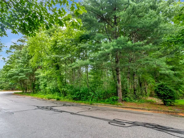 a view of a street with a trees