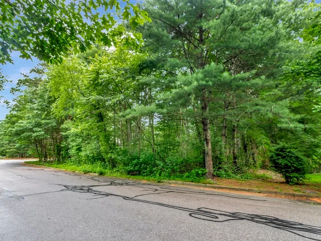 a view of a street with a trees