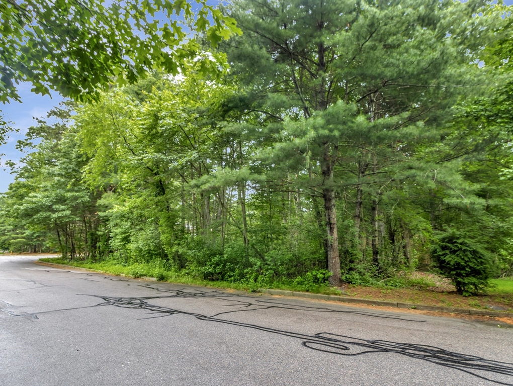 15 Randall Farm Drive Easton, MA 02356 - Photo 7 of 13 a view of a road with plants and large trees