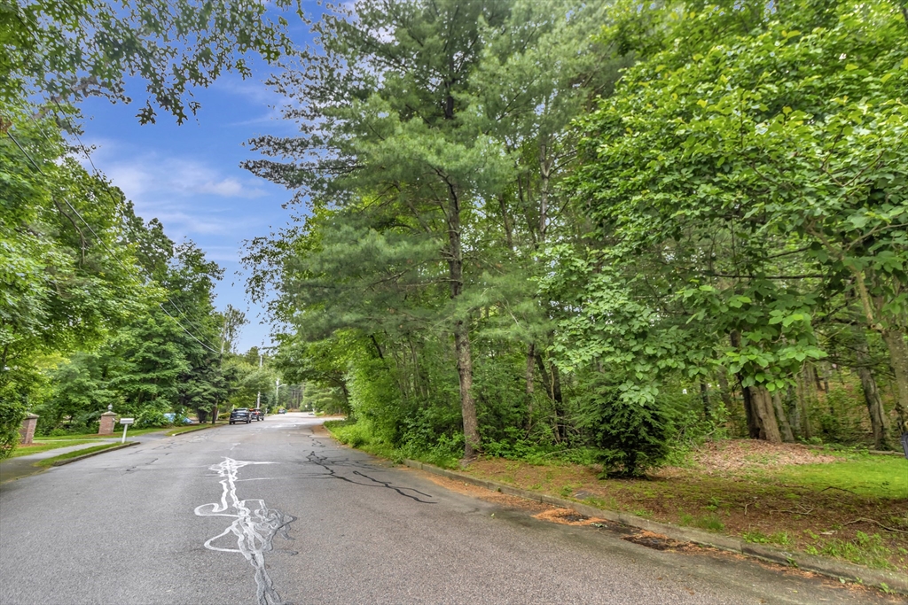 15 Randall Farm Drive Easton, MA 02356 - Photo 8 of 13 a view of a street with a trees