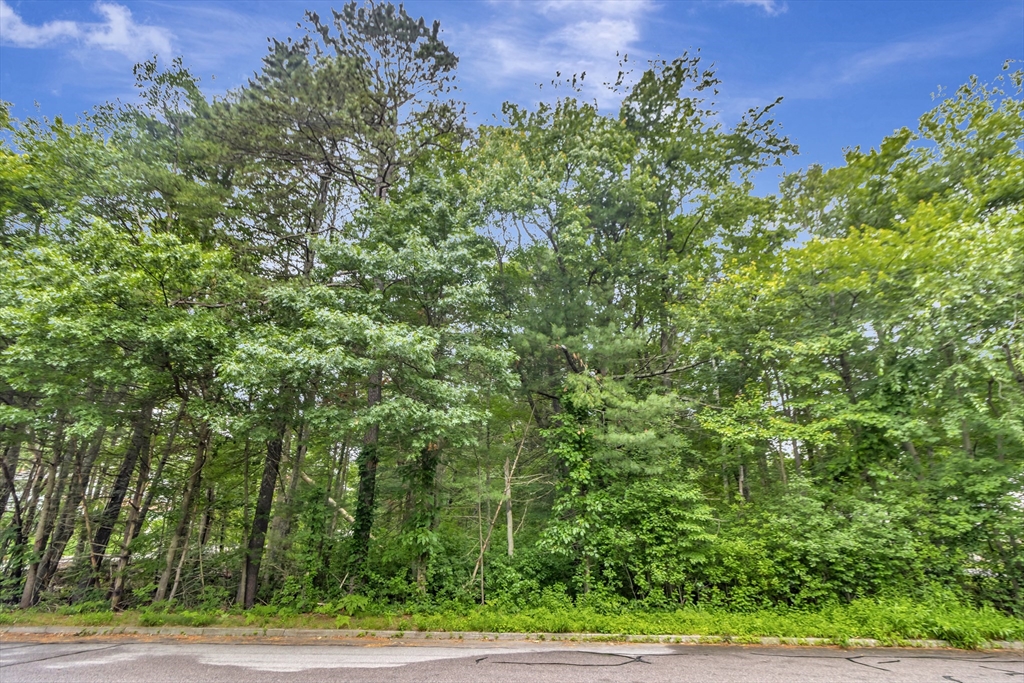 15 Randall Farm Drive Easton, MA 02356 - Photo 9 of 13 a view of a yard