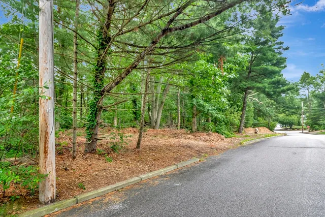 a view of a dirt road with trees in the background