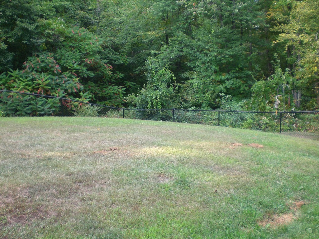 15 Town Farm Road Brookfield, MA 01506 - Photo 5 of 26 Gallery Image 5