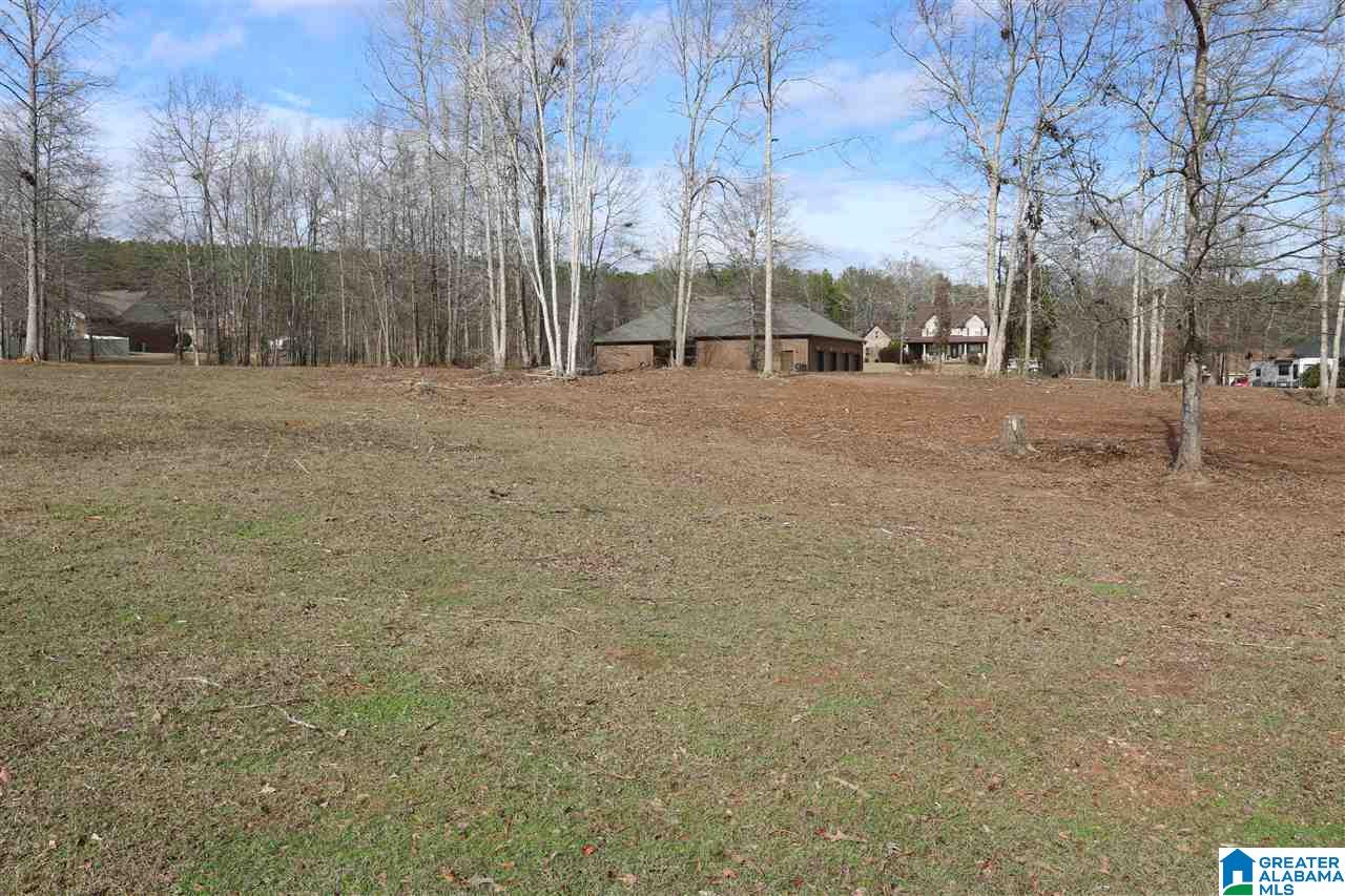 Tumbleweed Lane, Unit 13B Cropwell, AL 35054 - Photo 1 of 4