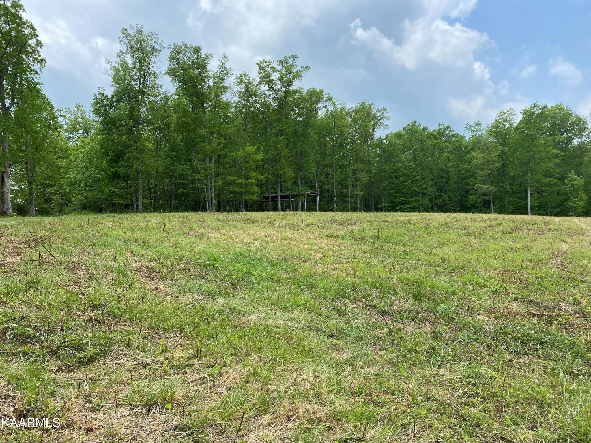 0 Lovejoy Road Sparta, TN 38583 - Photo 10 of 10