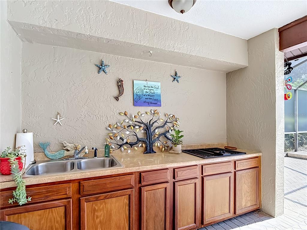 4306 River Birch Drive Spring Hill, FL 34607 - Photo 69 of 84