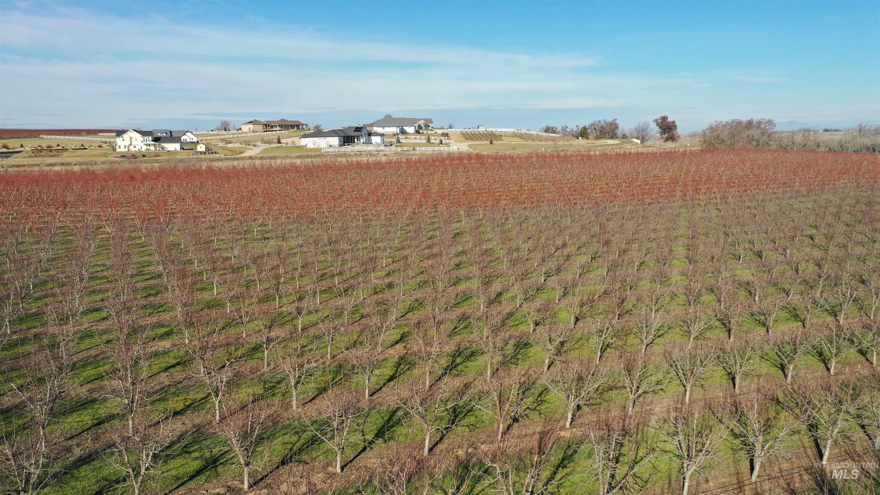 Tbd Riverside Road Caldwell, ID 83607 - Photo 30 of 35 View of yard featuring a view of rural / pastoral area
