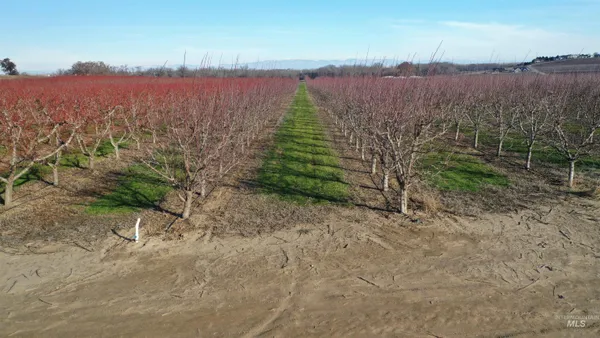 $2,750,000 | Tbd Riverside Road, Caldwell, ID 83607