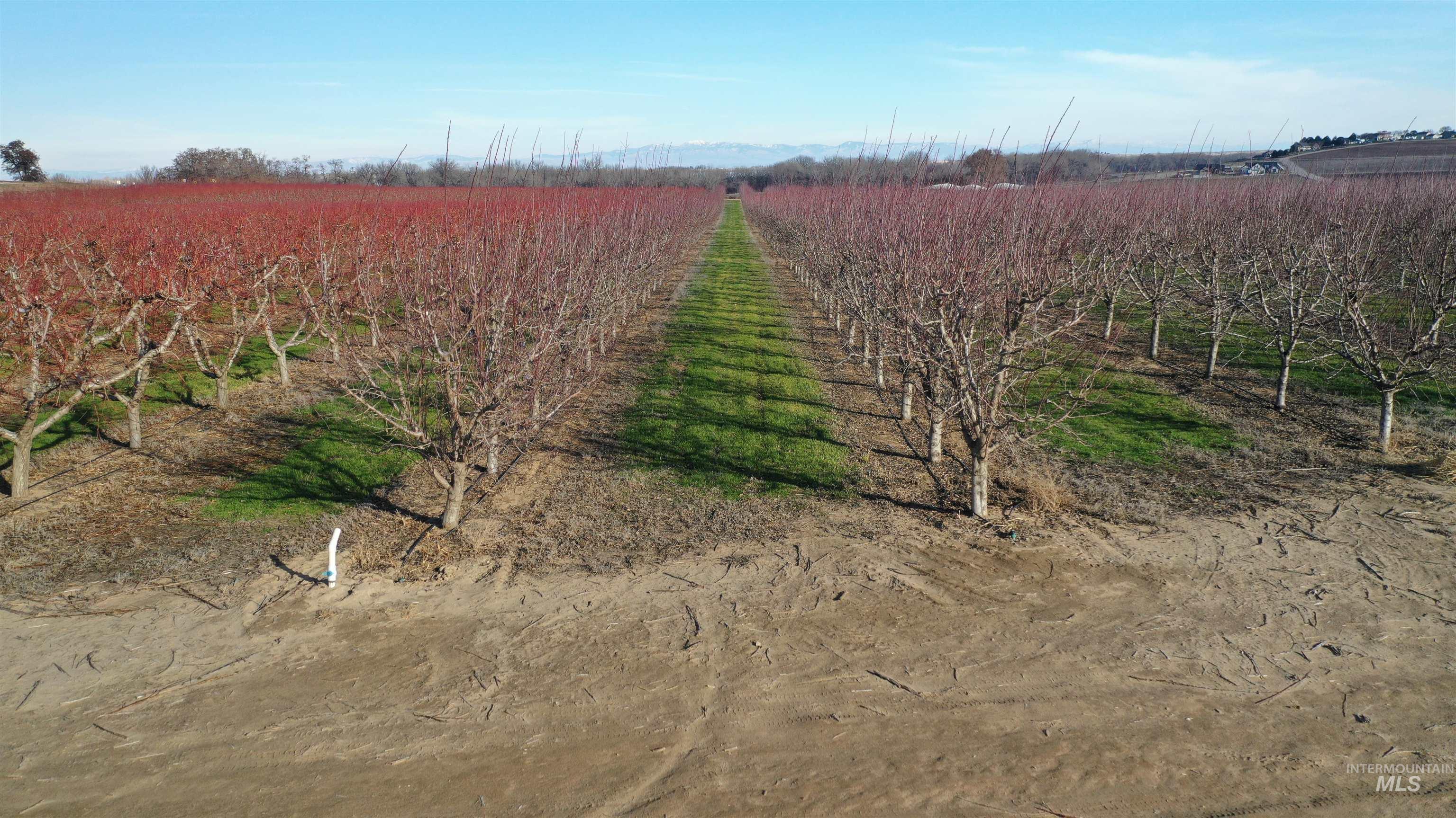 Tbd Riverside Road Caldwell, ID 83607 - Photo 34 of 35 View of yard with agricultural area and a view of rural / pastoral area