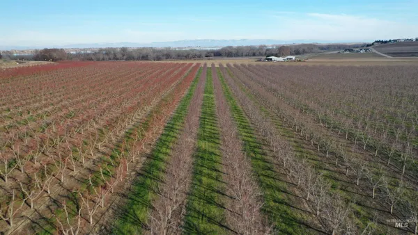 $2,750,000 | Tbd Riverside Road, Caldwell, ID 83607