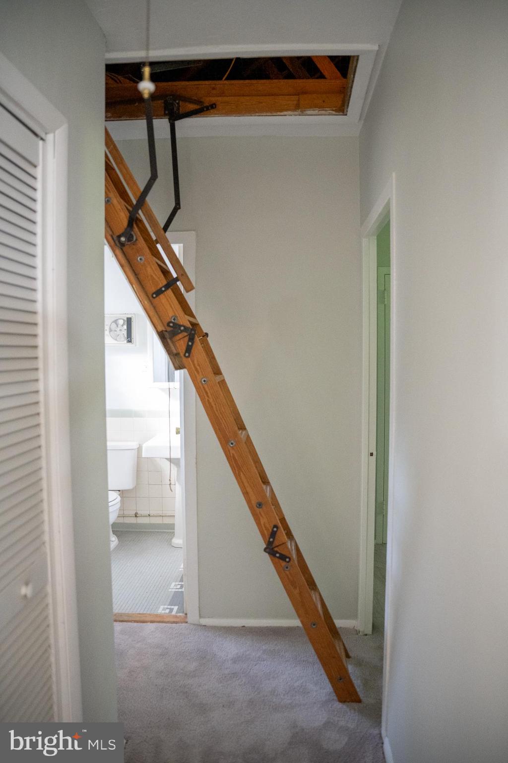 1612 Fitzgerald Lane Alexandria, VA 22302 - Photo 15 of 20