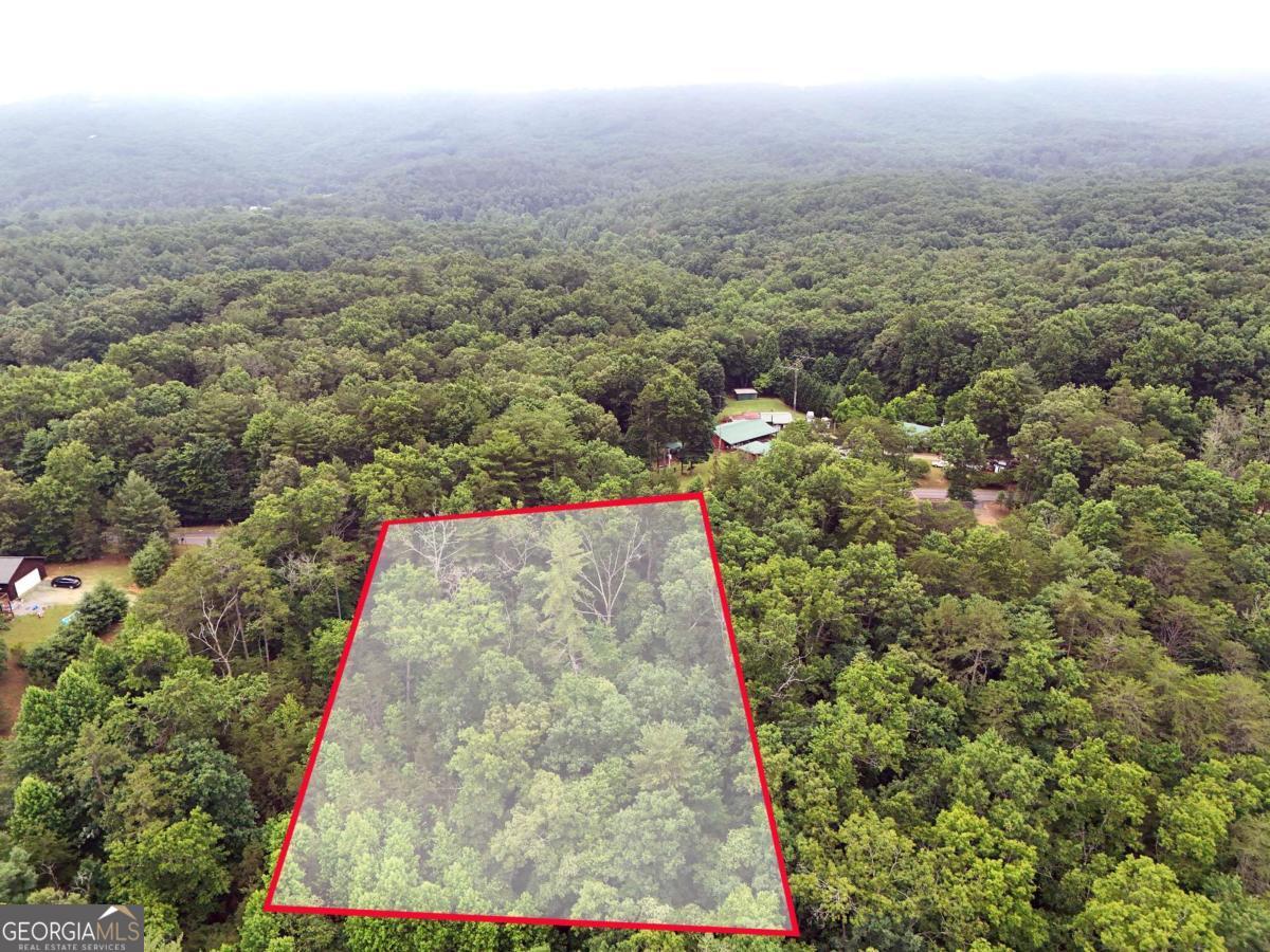 Lot 3 Cook Henry Road Blairsville, GA 30512 - Photo 14 of 18
