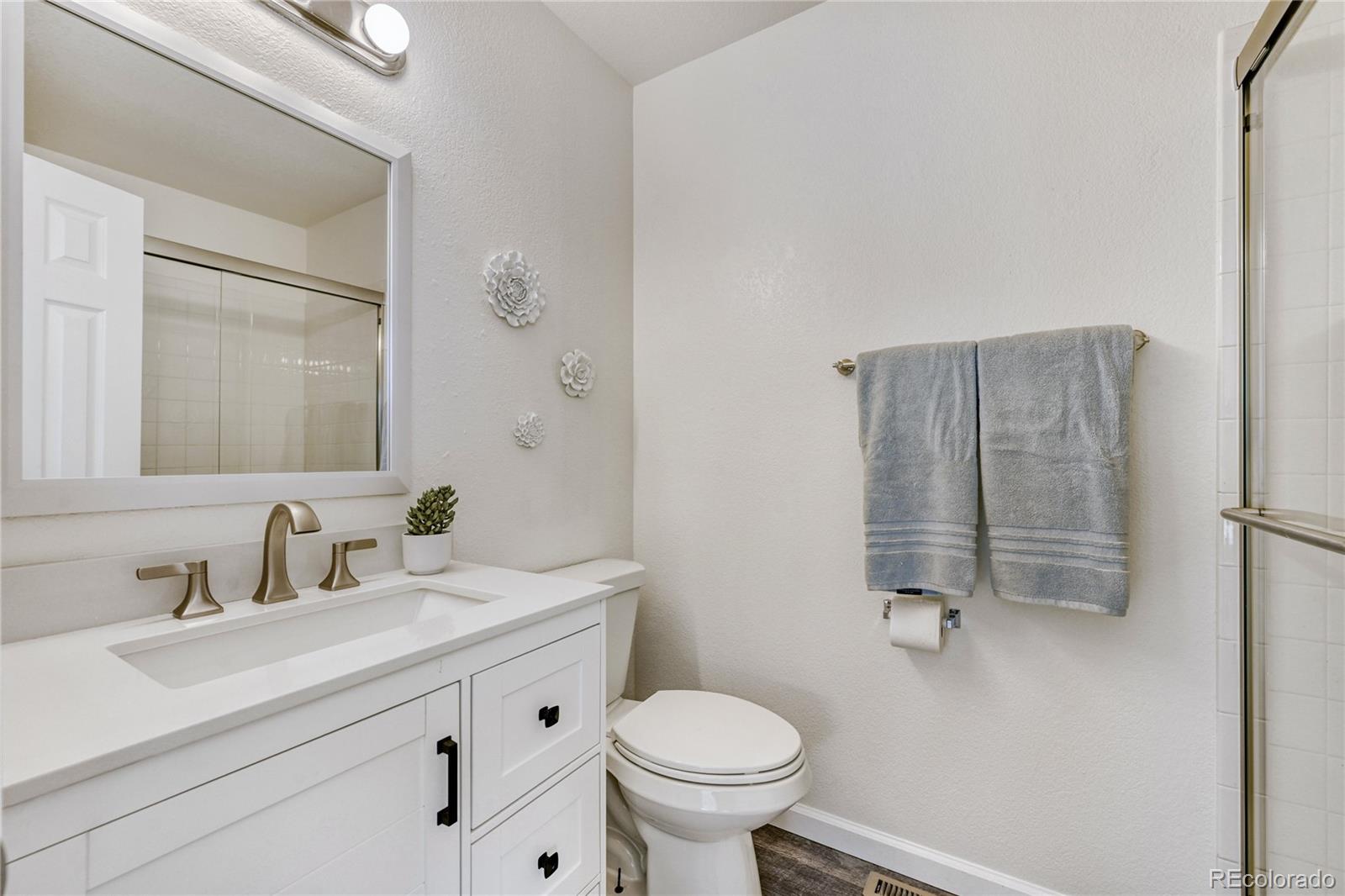 6130 Gorham Street Frederick, CO 80530 - Photo 28 of 47 a bathroom with a sink toilet and vanity