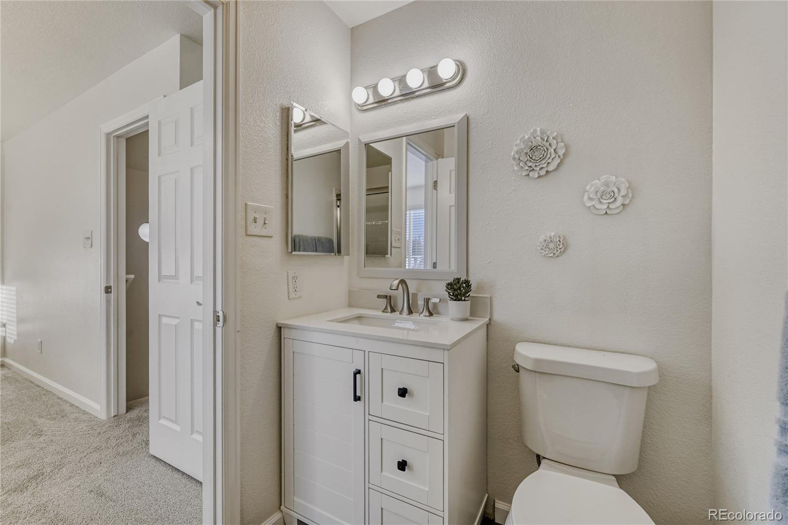6130 Gorham Street Frederick, CO 80530 - Photo 30 of 47 a bathroom with a toilet a sink and mirror