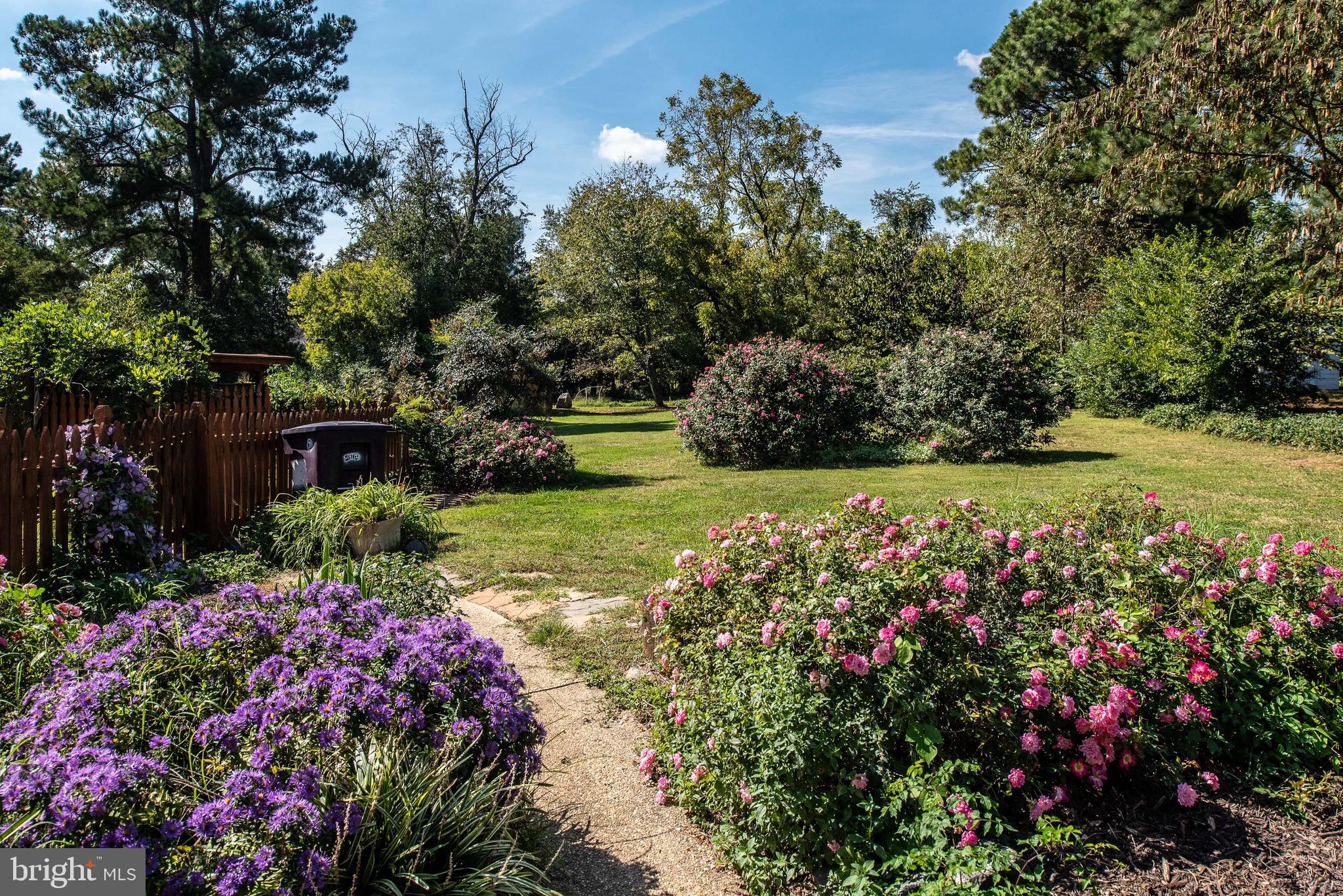 461 Brooke Road Fredericksburg, VA 22405 - Photo 11 of 92