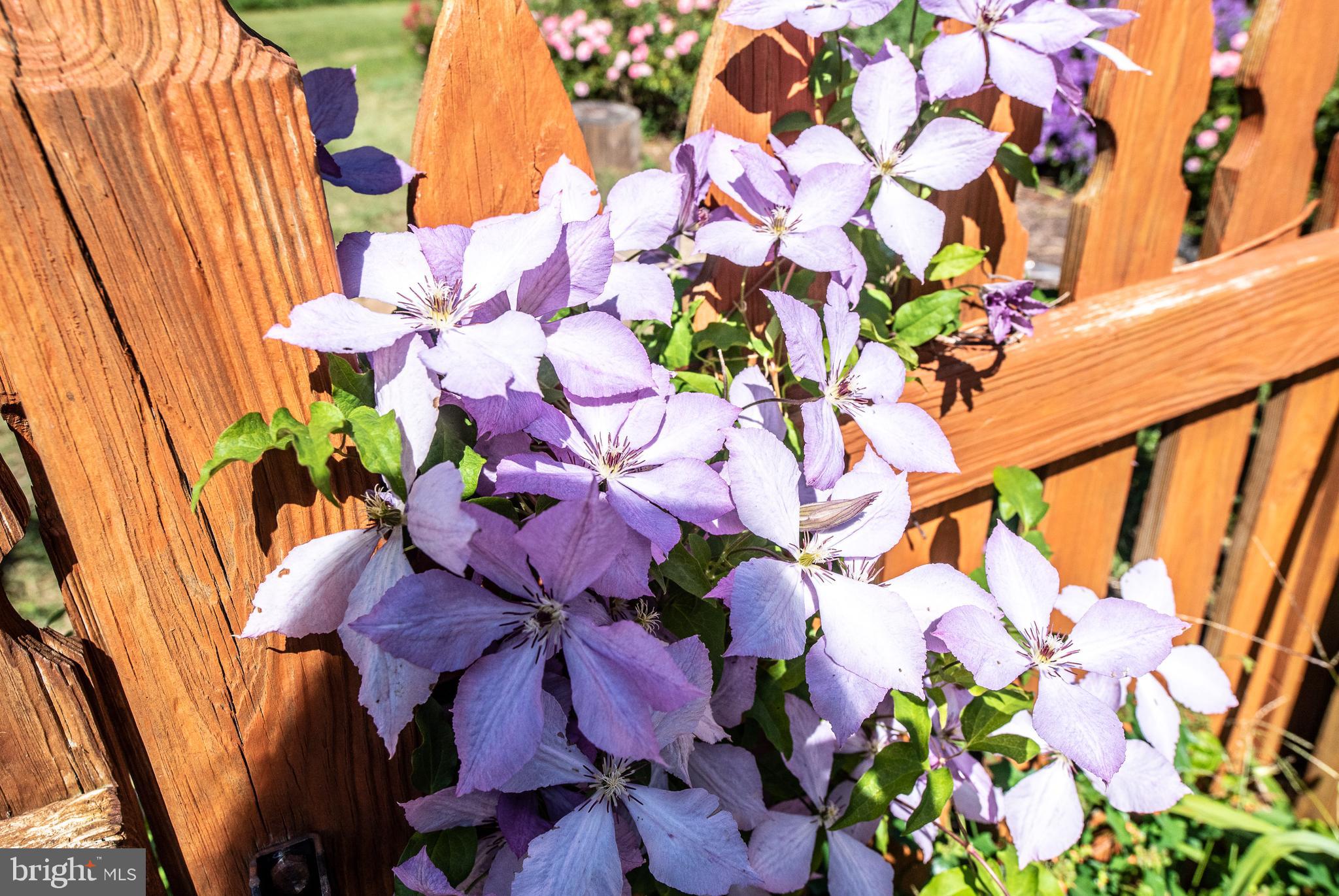 461 Brooke Road Fredericksburg, VA 22405 - Photo 13 of 92