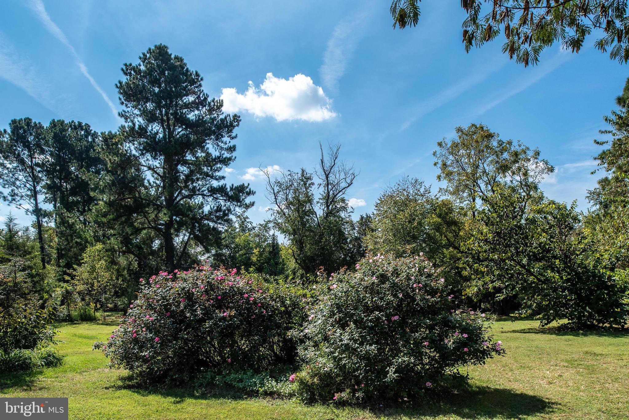 461 Brooke Road Fredericksburg, VA 22405 - Photo 22 of 92