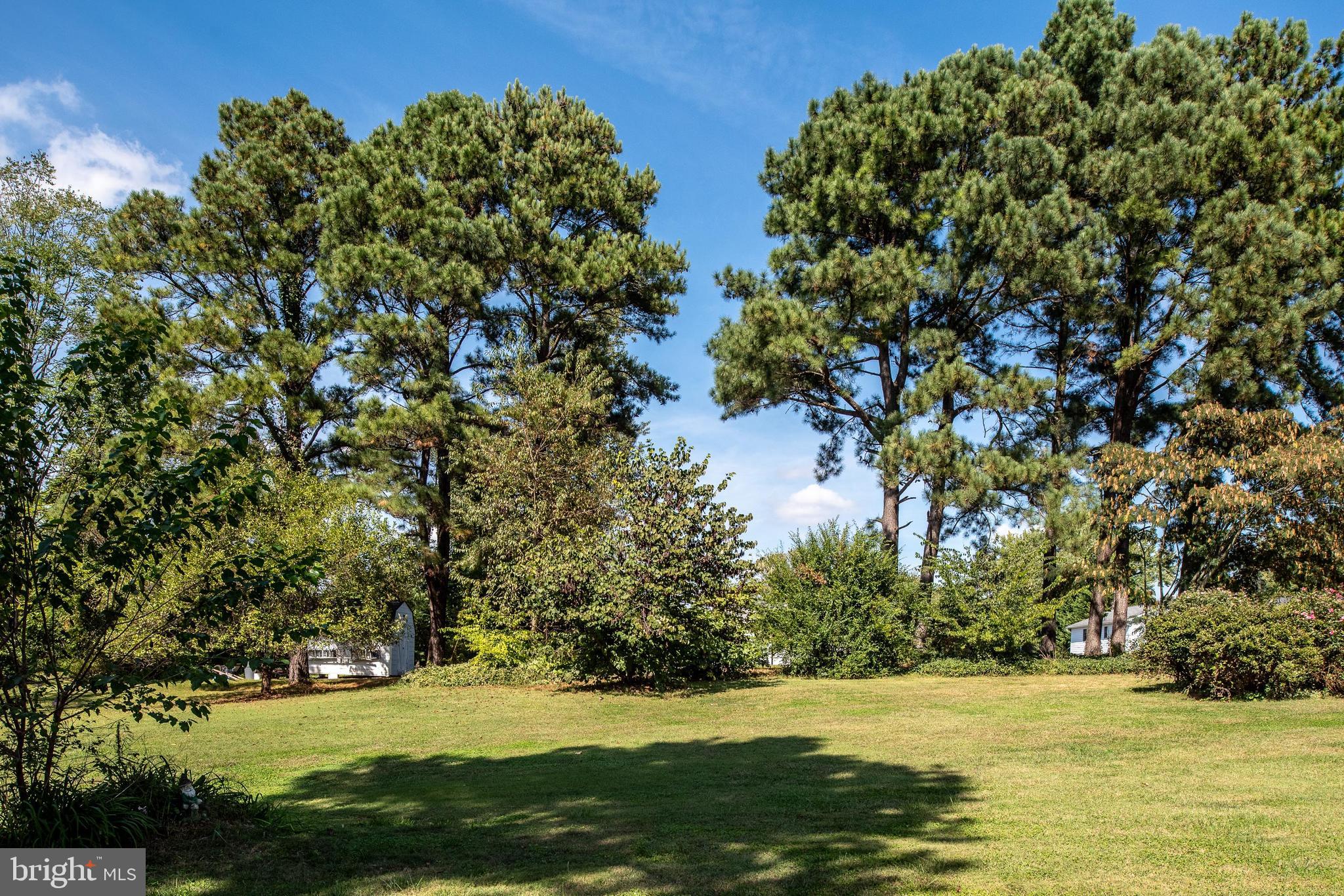 461 Brooke Road Fredericksburg, VA 22405 - Photo 27 of 92