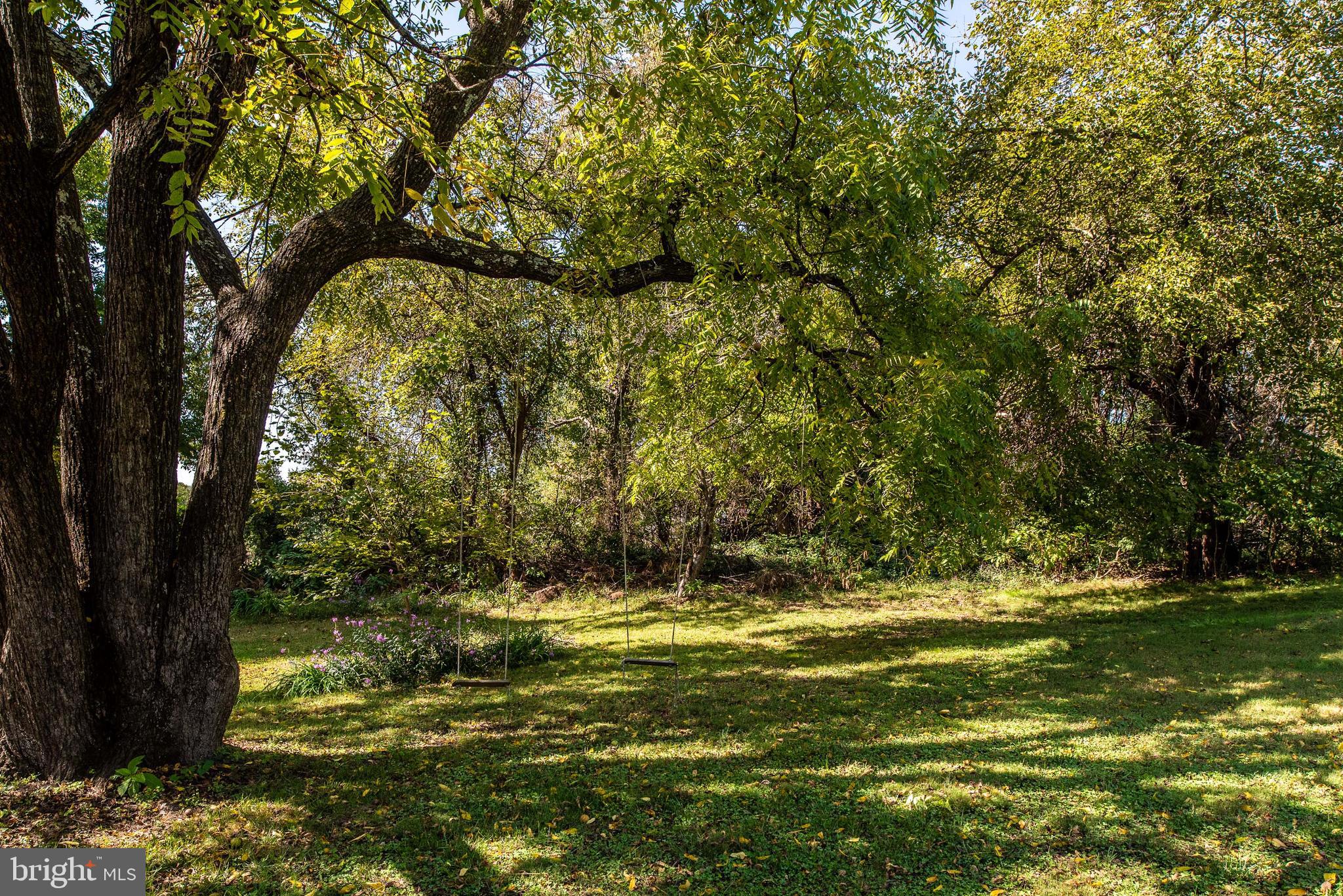 461 Brooke Road Fredericksburg, VA 22405 - Photo 29 of 92