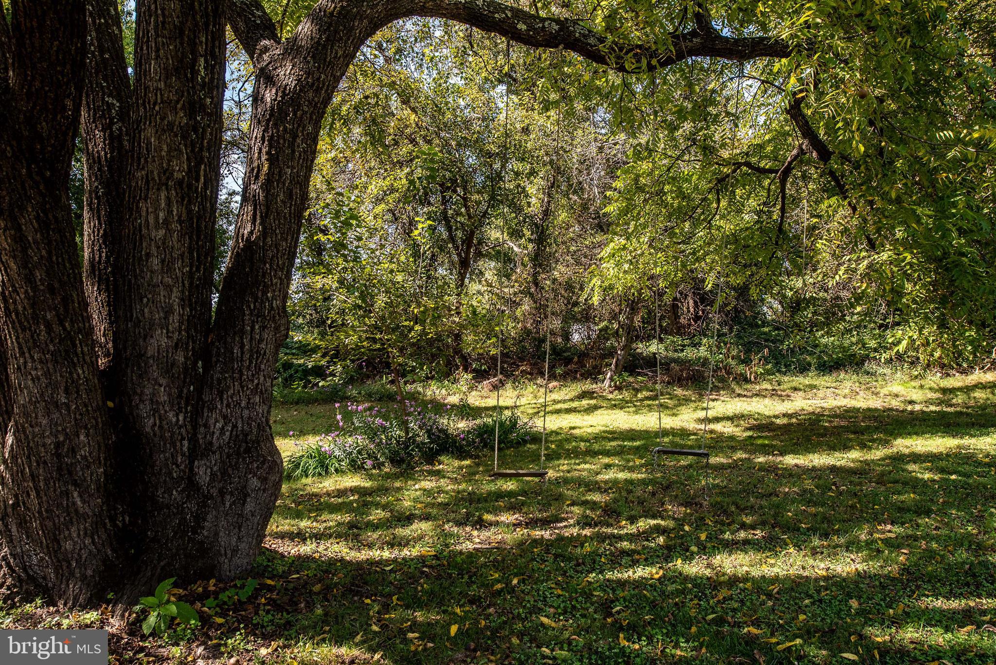 461 Brooke Road Fredericksburg, VA 22405 - Photo 30 of 92