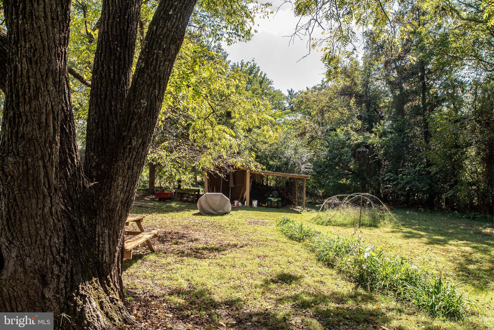 461 Brooke Road Fredericksburg, VA 22405 - Photo 32 of 92