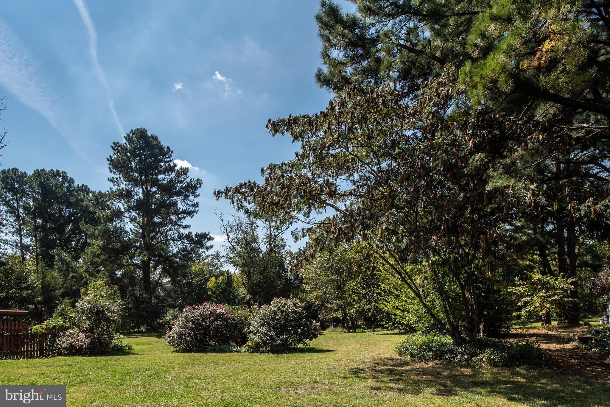 461 Brooke Road Fredericksburg, VA 22405 - Photo 4 of 92