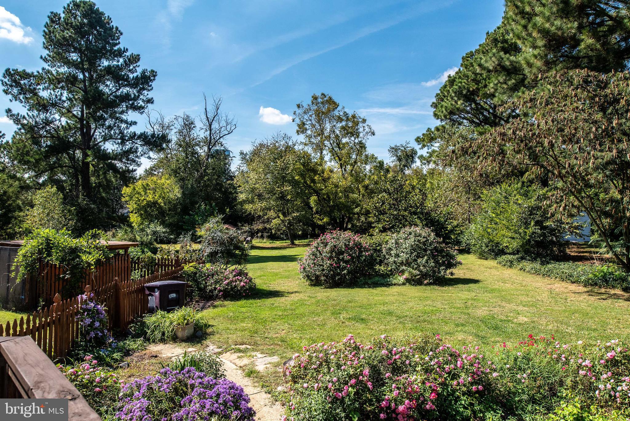 461 Brooke Road Fredericksburg, VA 22405 - Photo 8 of 92