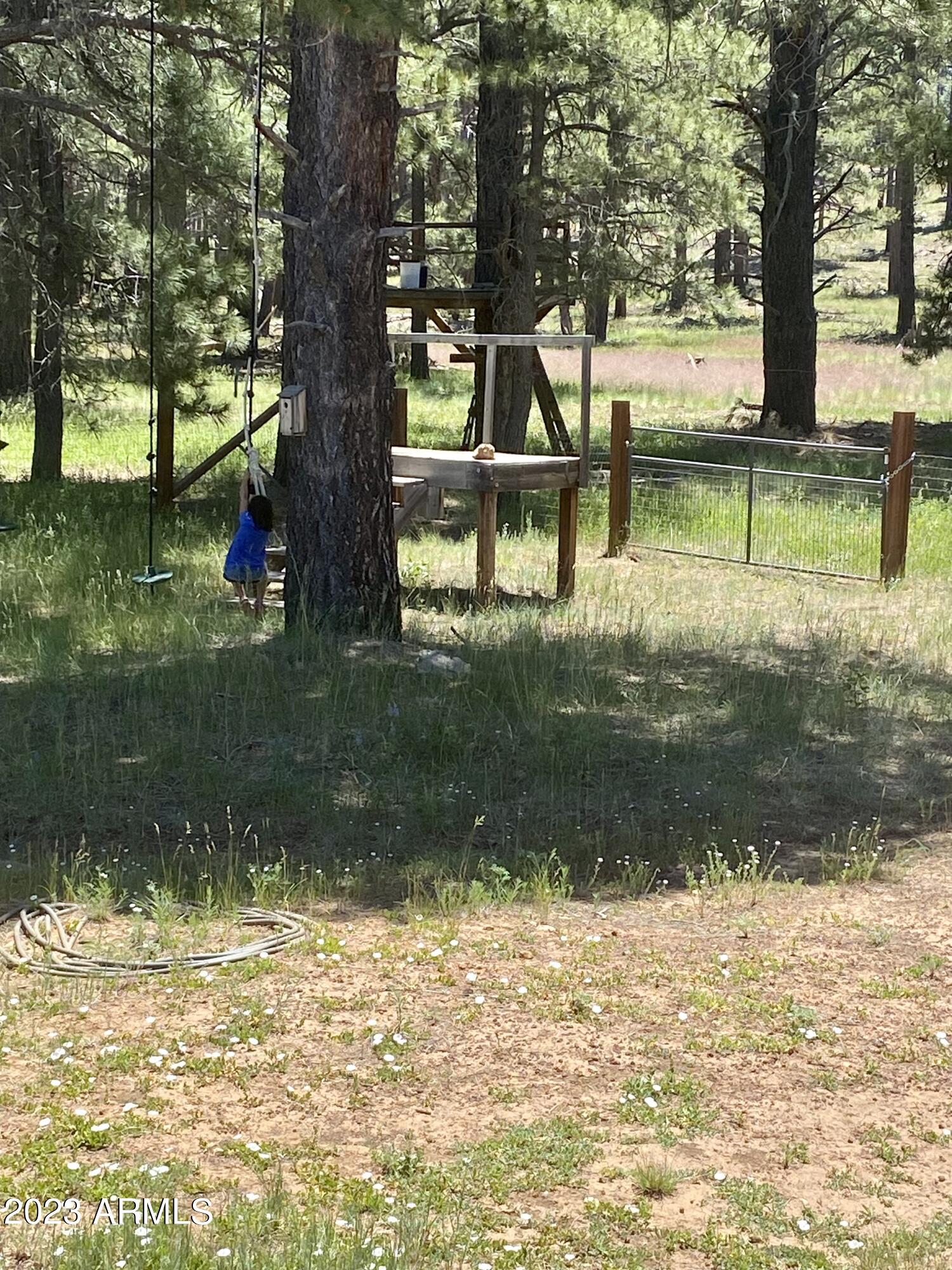 5665 Antelope Road Flagstaff, AZ 86005 - Photo 54 of 54 B866039E-91FA-4785-84DA-9DF842F435DB