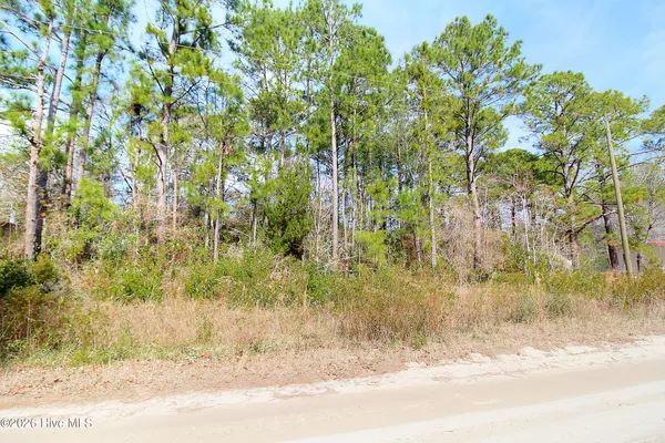 $25,000 | 2890 Bird Drive Southwest, Shallotte, NC 28470