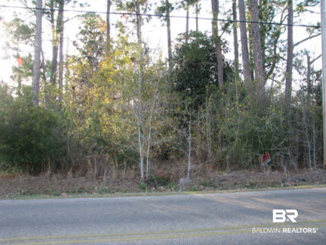 0 South Juniper Street South Foley, AL 36535 - Photo 1 of 1