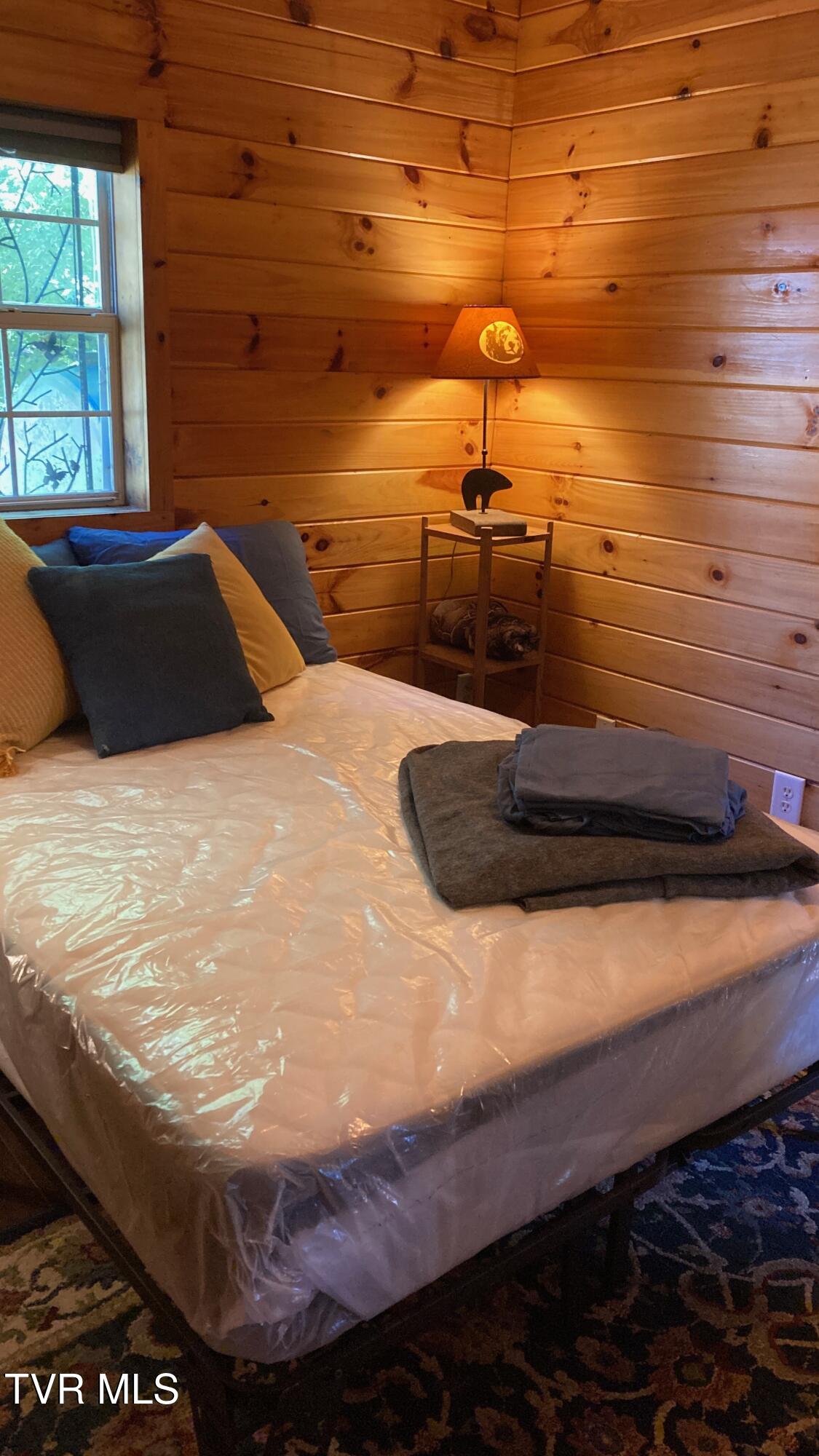 143 Doty Road Roan Mountain, TN 37687 - Photo 36 of 57 FullSizeRender