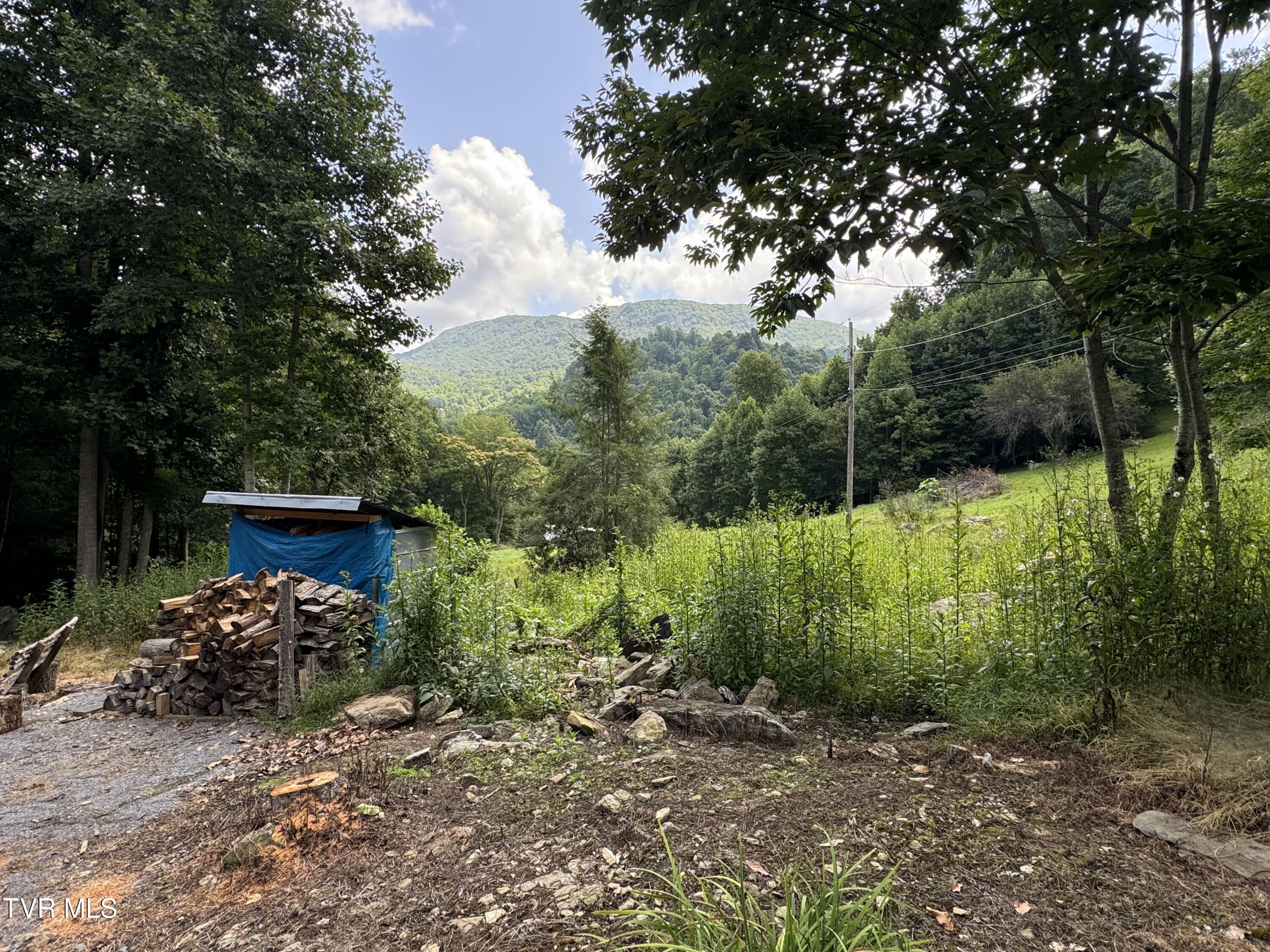 143 Doty Road Roan Mountain, TN 37687 - Photo 52 of 57 Photo Aug 22 2024, 12 23 21 PM