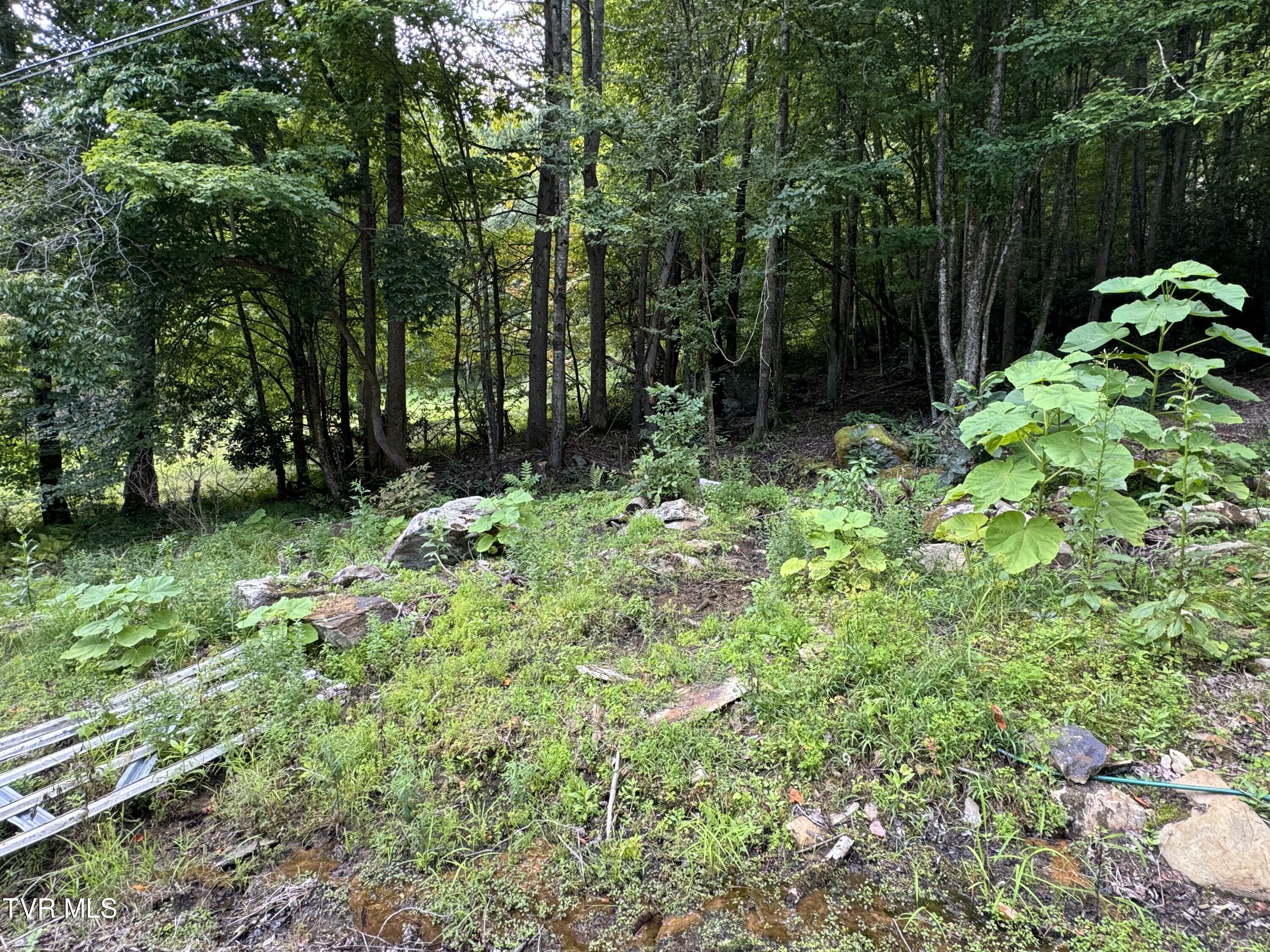 143 Doty Road Roan Mountain, TN 37687 - Photo 55 of 57 Photo Aug 22 2024, 12 23 50 PM