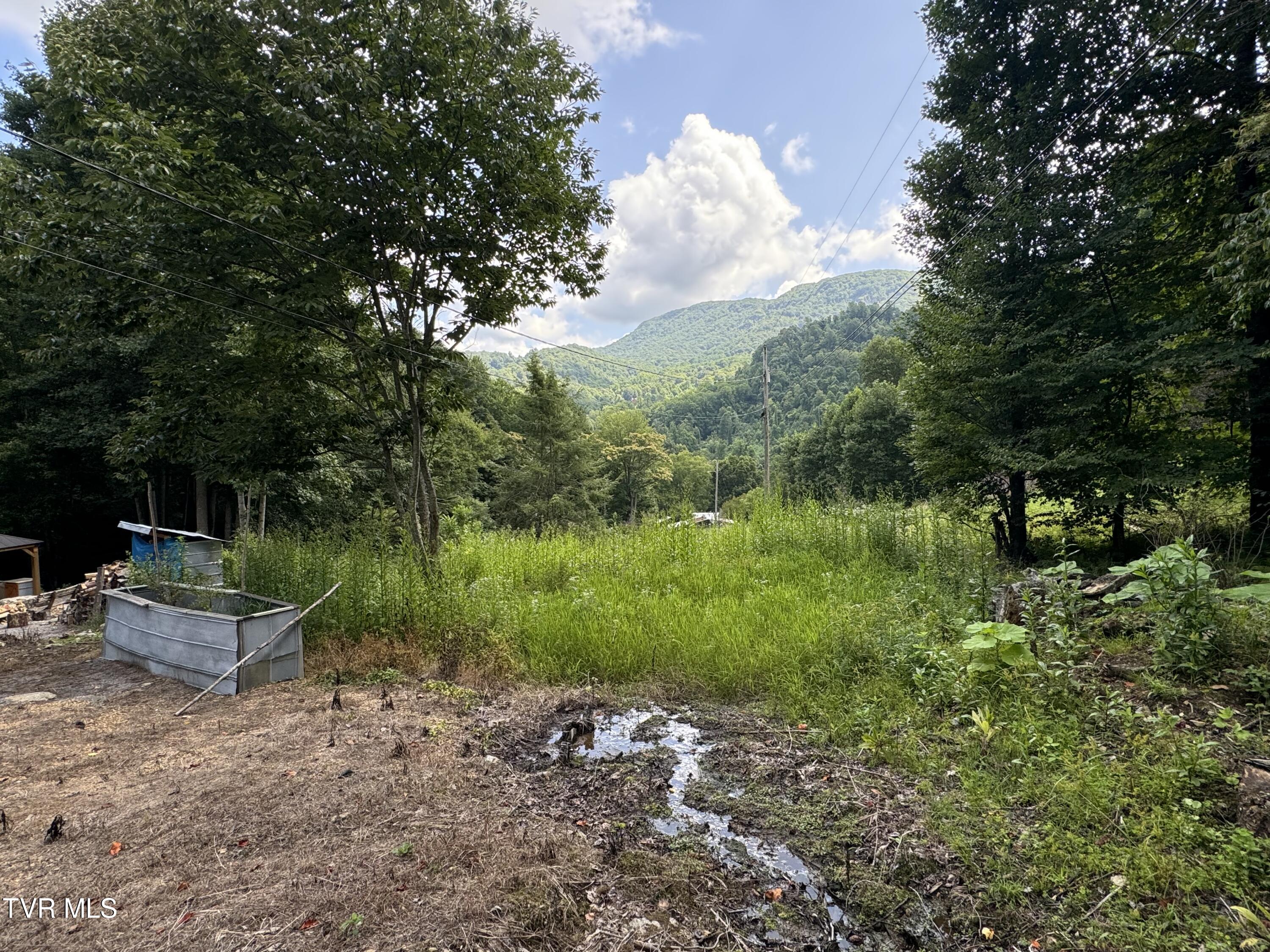 143 Doty Road Roan Mountain, TN 37687 - Photo 56 of 57 Photo Aug 22 2024, 12 24 08 PM