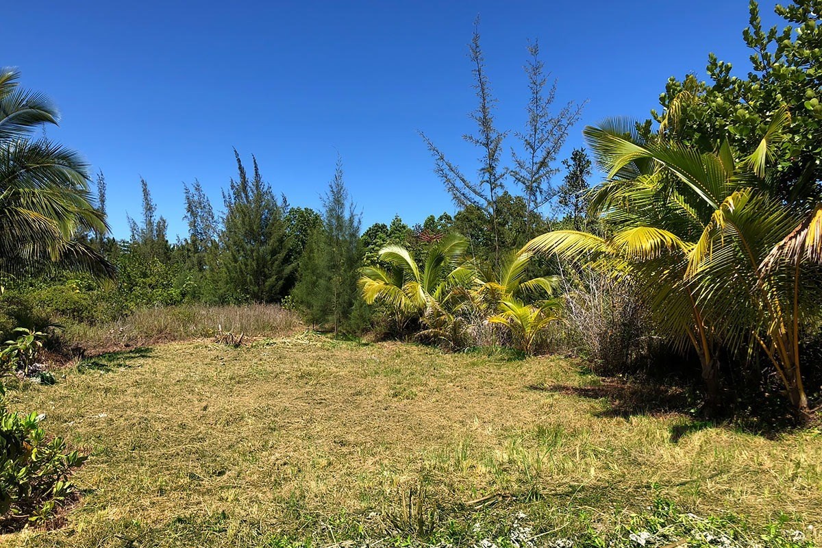 378 Beach Road Keaau, HI 96749 - Photo 11 of 15 Gallery Image 11