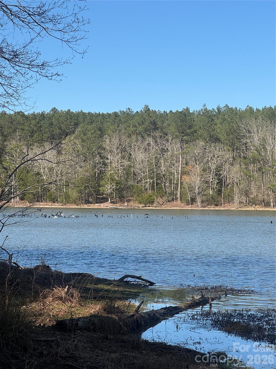 1802 Goings Road Chester, SC 29706 - Photo 12 of 18