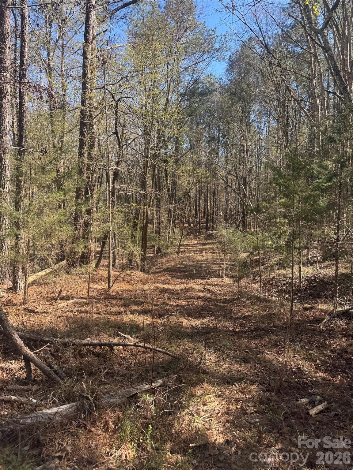 1802 Goings Road Chester, SC 29706 - Photo 15 of 18