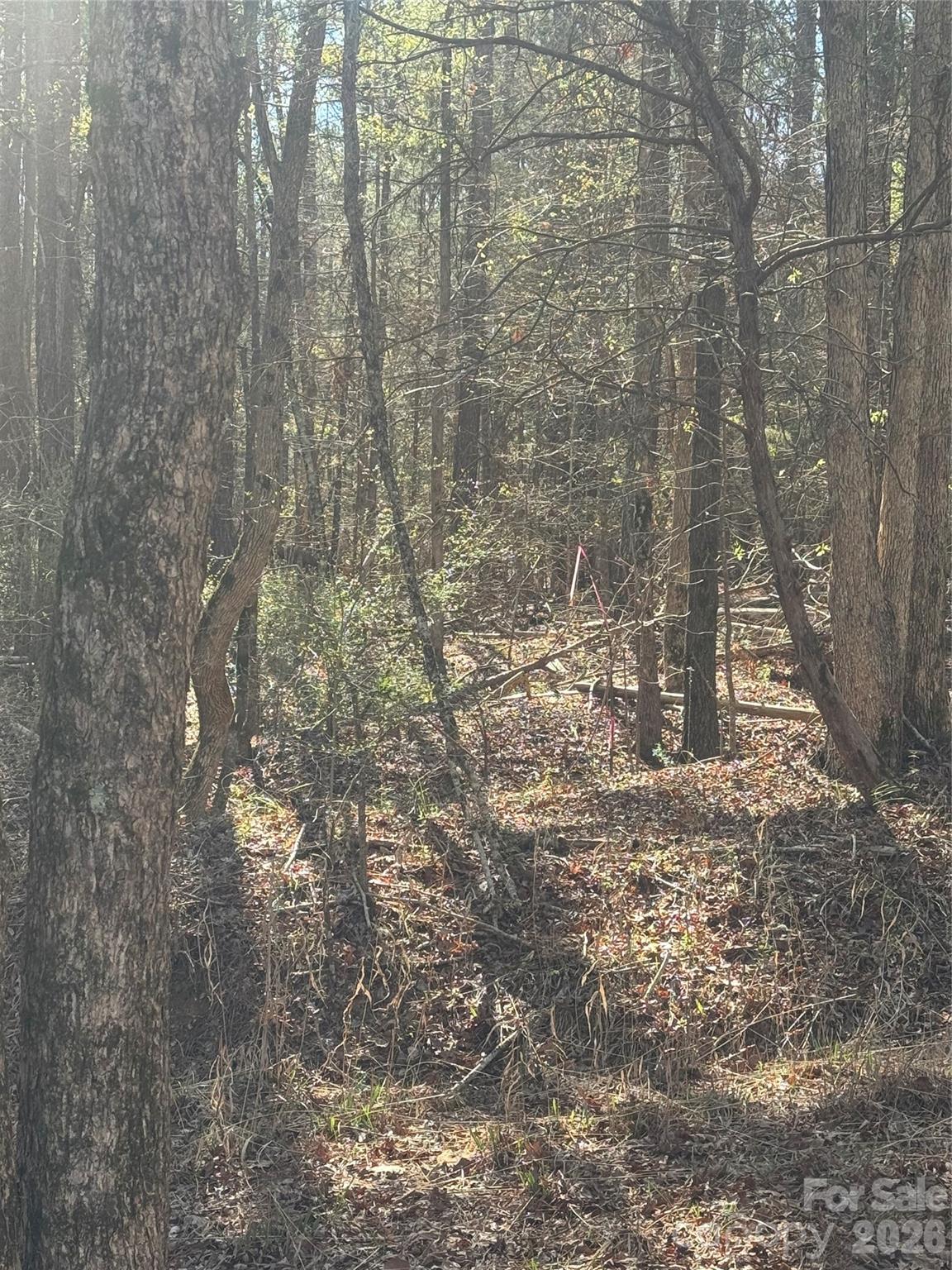 1802 Goings Road Chester, SC 29706 - Photo 16 of 18