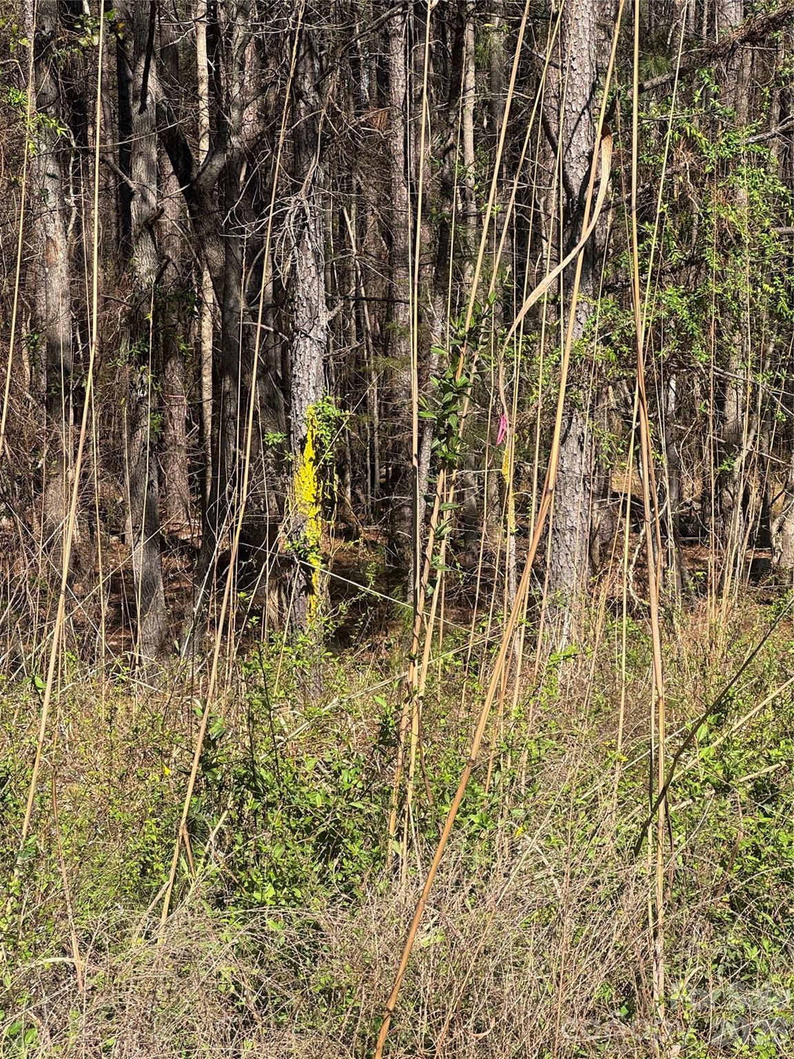1802 Goings Road Chester, SC 29706 - Photo 17 of 18